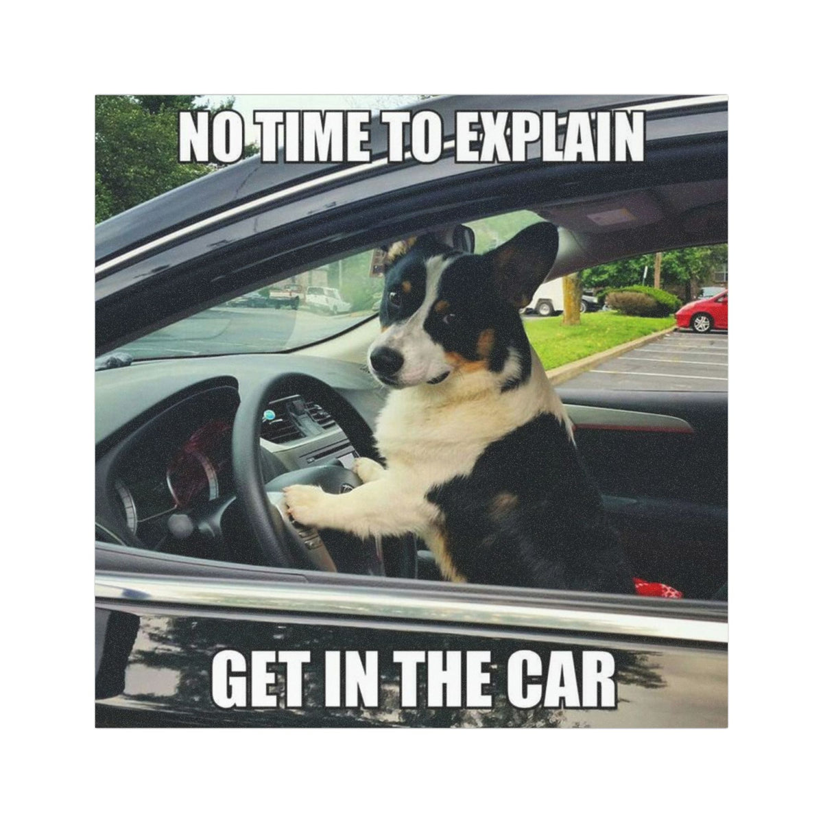 Dog meme " No time to explain get in the car" Bumper Magnet