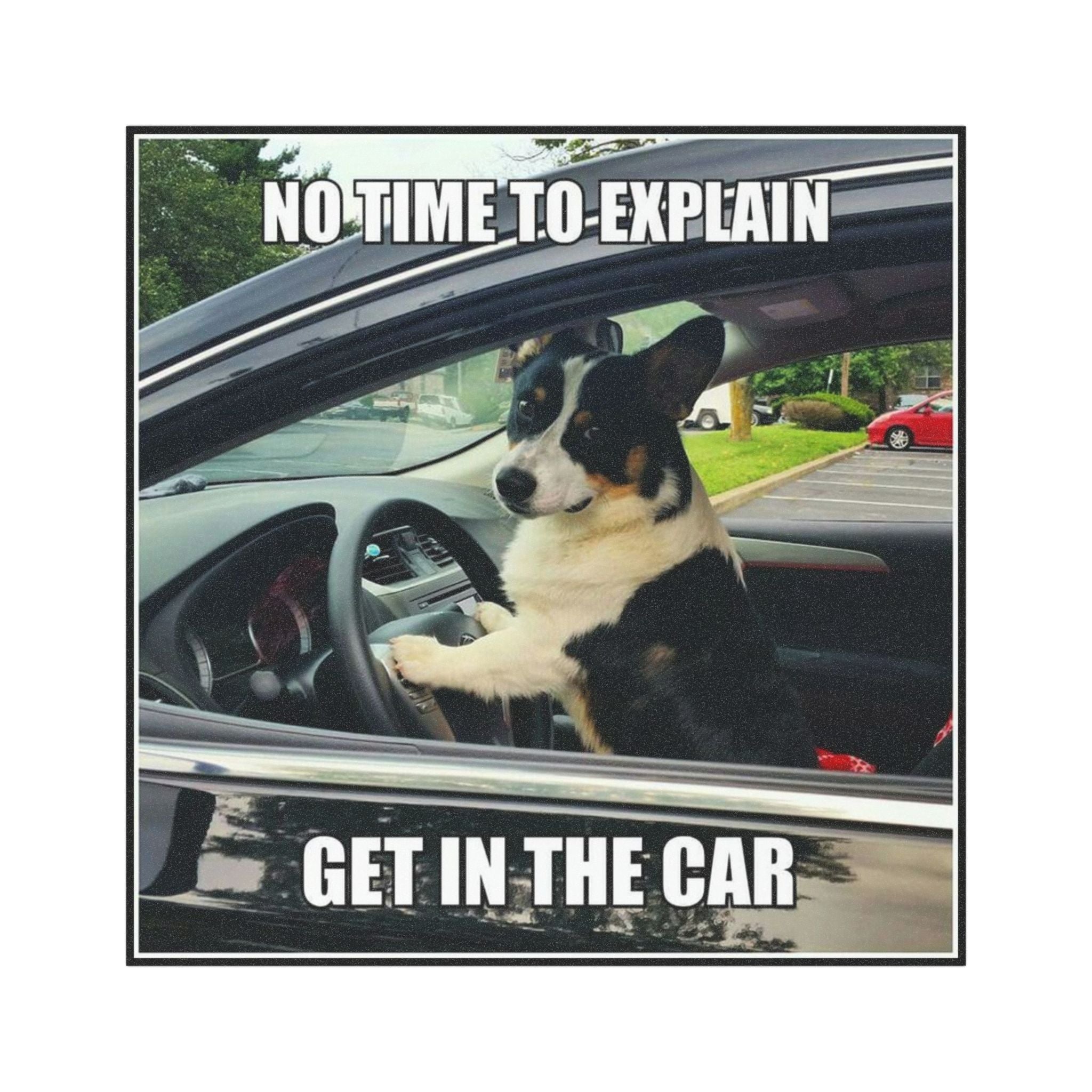 Dog meme car bumper magnet