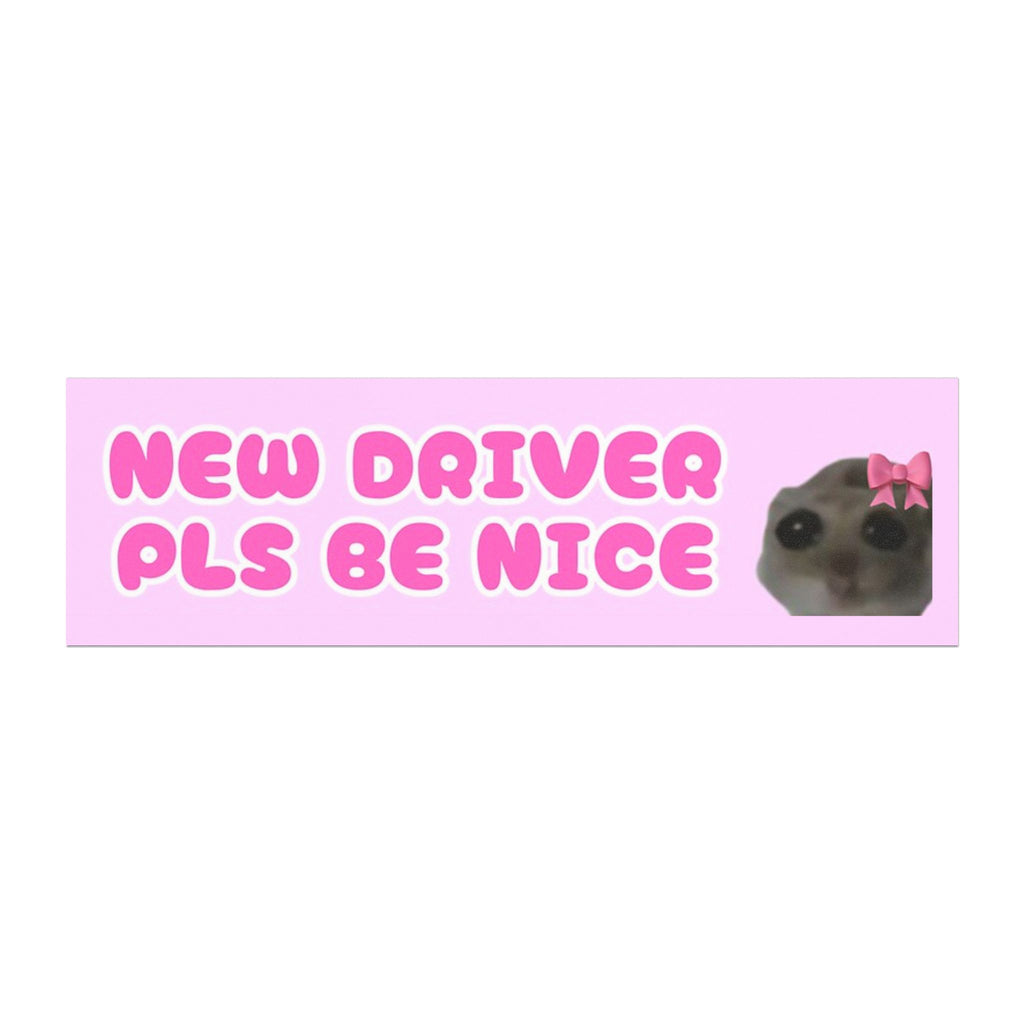 Funny new driver gift - Pls be nice to me bumper magnet
