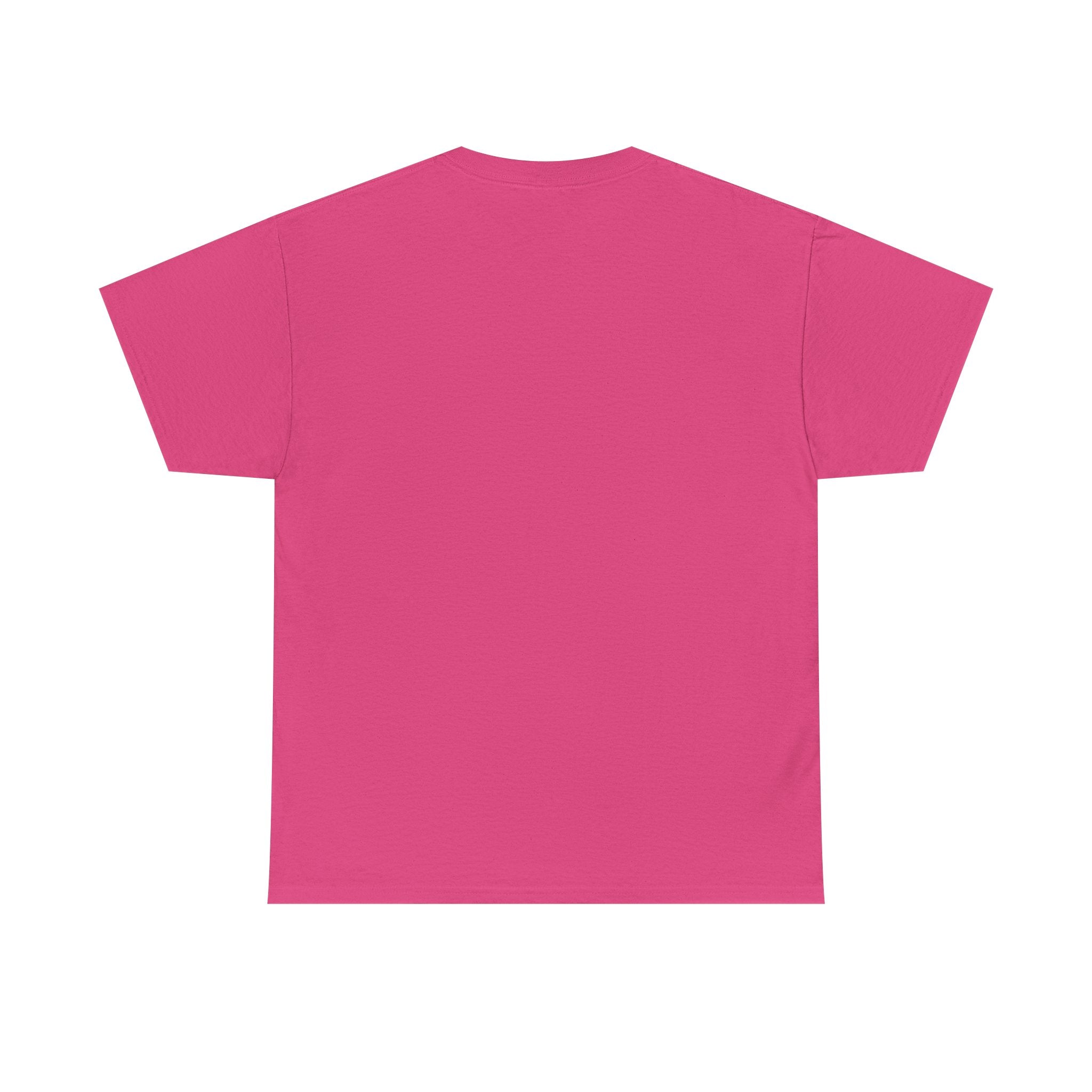 My next WIFE will be NORMAL Unisex 100% Cotton Tee