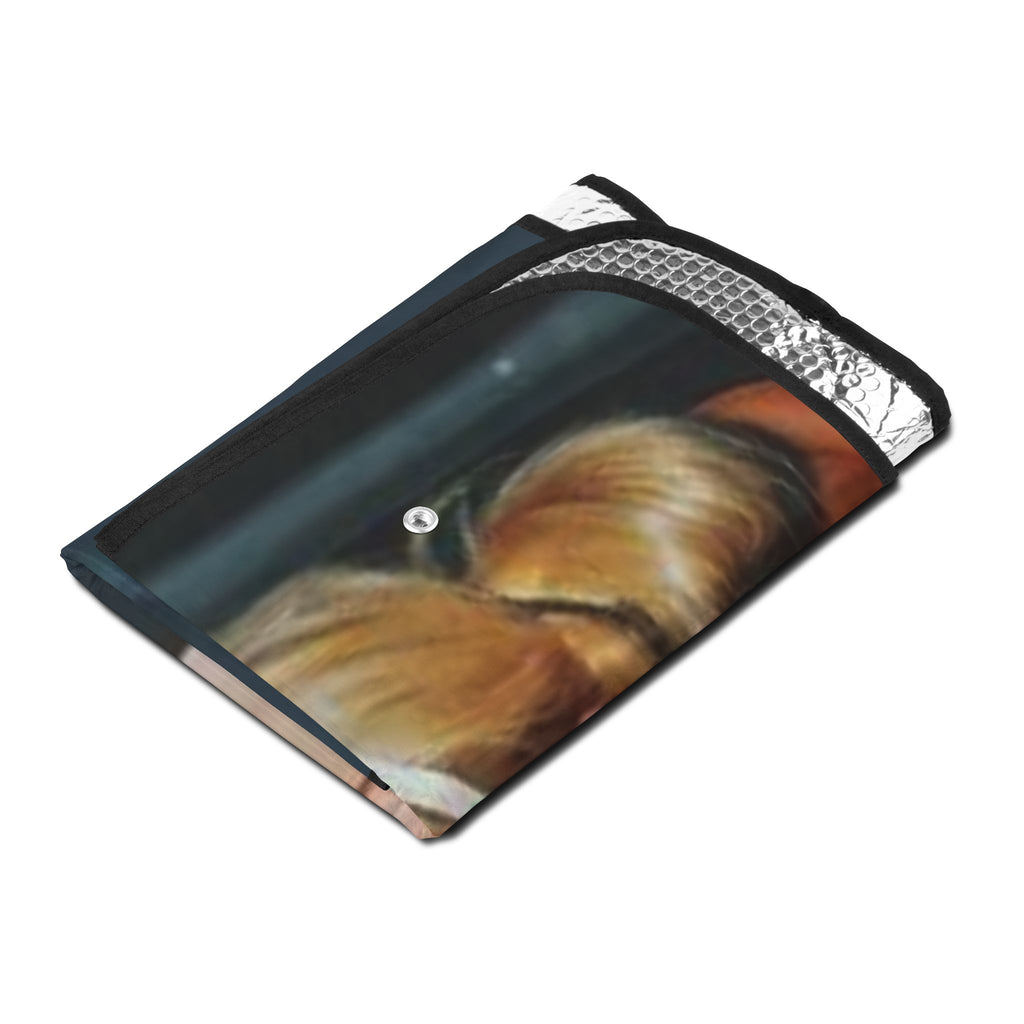 90s Icons Paparazzi Car Sun Shade