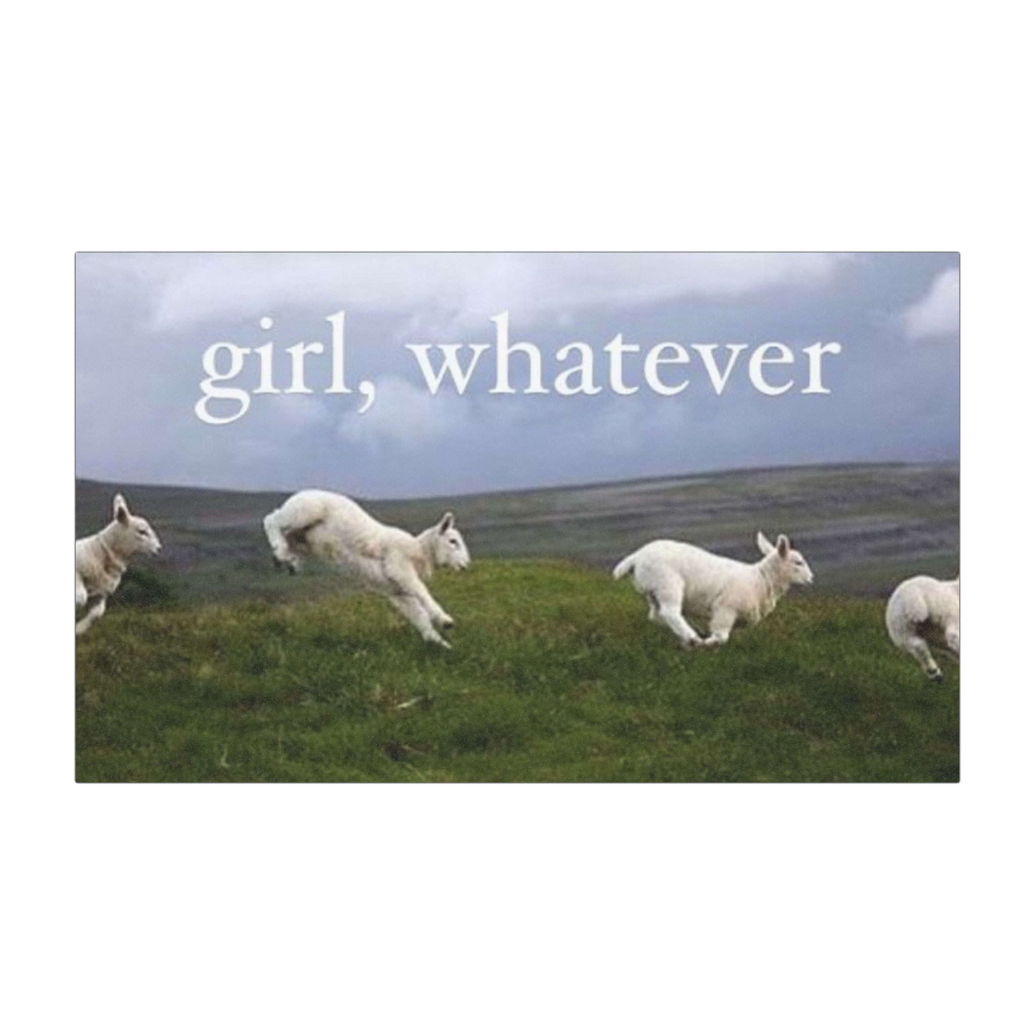 Girl Whatever Whimsy Lambs Car Bumper Magnet