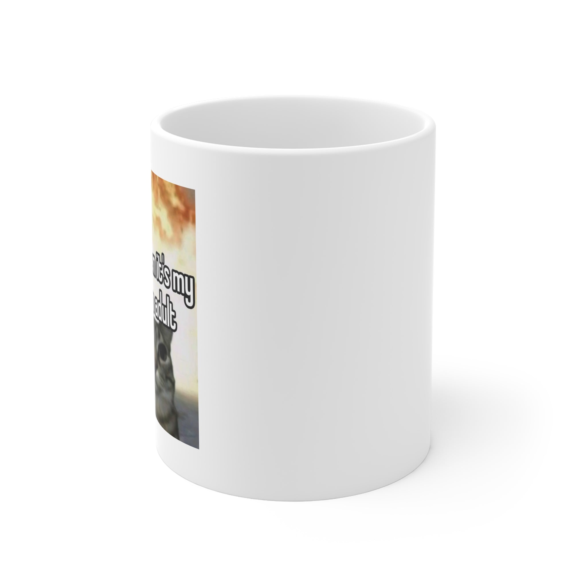 The world when its my turn to adult - Cute Cat Meme Mug 11oz