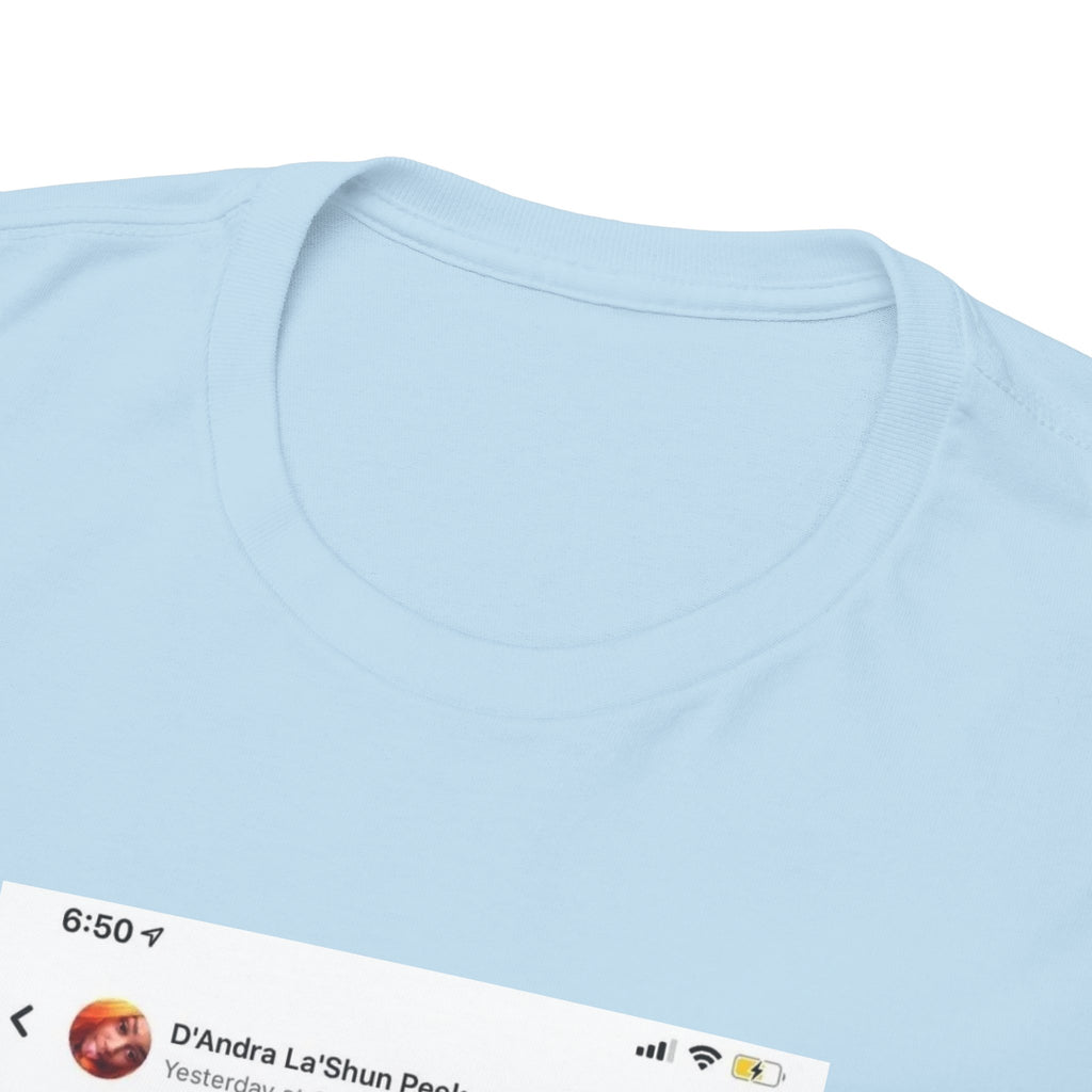 If you see my baby daddy at pride do not message me 100% Cotton Tee
