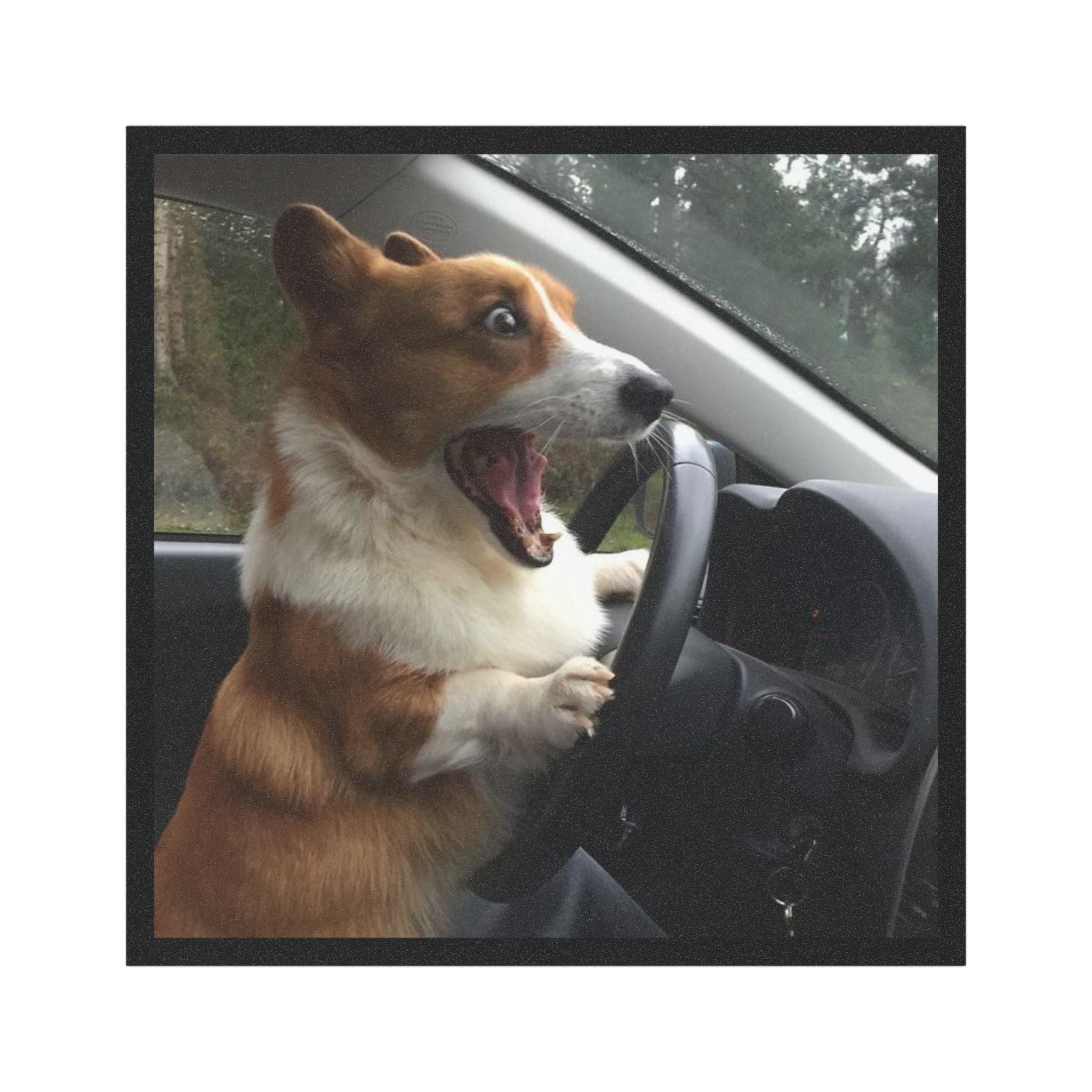 Corgi Dog Meme - Funnt driver bumper magnet