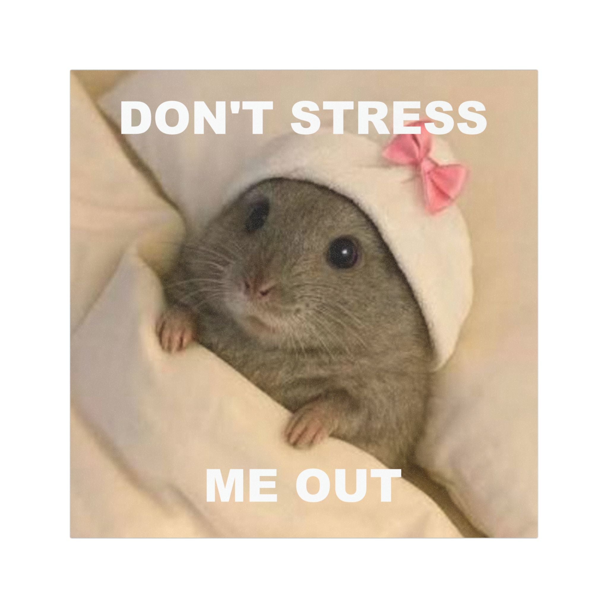 CUTE SPA MOUSE - Car Bumper Magnet